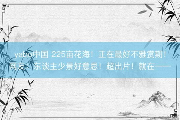 yabo中国 225亩花海！正在最好不雅赏期！网友：东谈主少景好意思！超出片！就在——