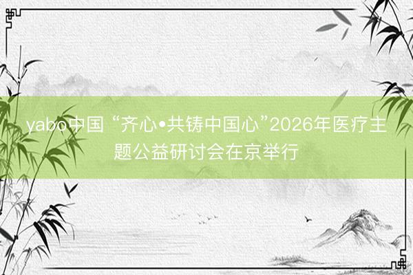 yabo中国 “齐心•共铸中国心”2026年医疗主题公益研讨会在京举行