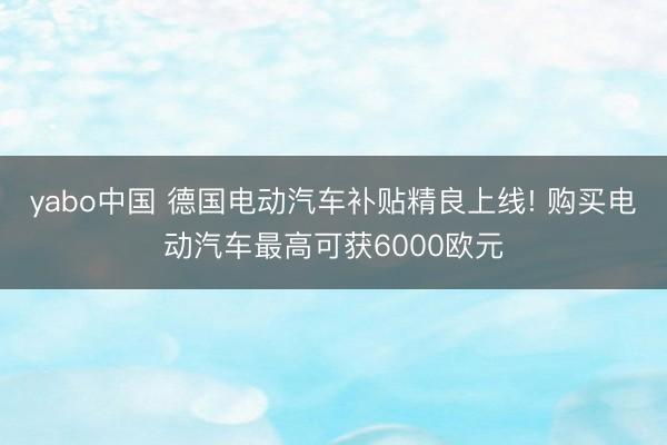 yabo中国 德国电动汽车补贴精良上线! 购买电动汽车最高可获6000欧元