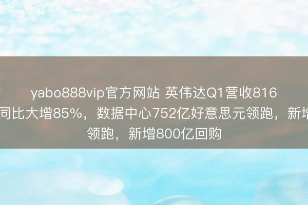 yabo888vip官方网站 英伟达Q1营收816亿好意思元同比大增85%，数据中心752亿好意思元领跑，新增800亿回购