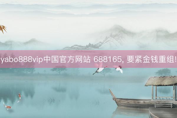 yabo888vip中国官方网站 688165， 要紧金钱重组!