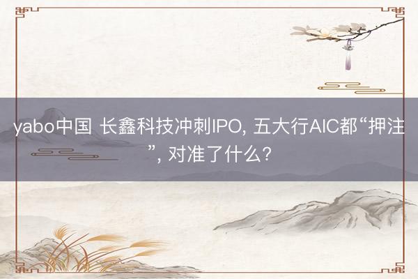 yabo中国 长鑫科技冲刺IPO， 五大行AIC都“押注”， 对准了什么?