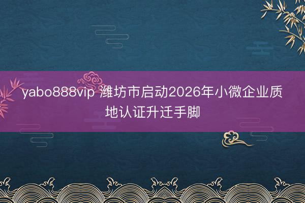 yabo888vip 潍坊市启动2026年小微企业质地认证升迁手脚