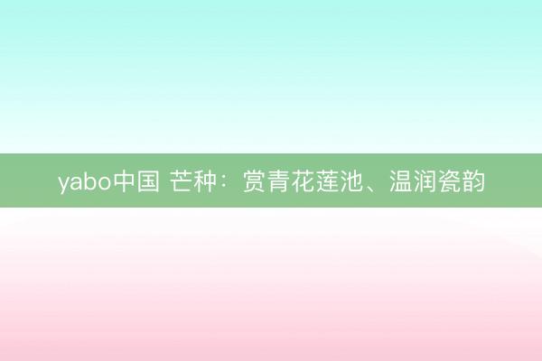 yabo中国 芒种：赏青花莲池、温润瓷韵