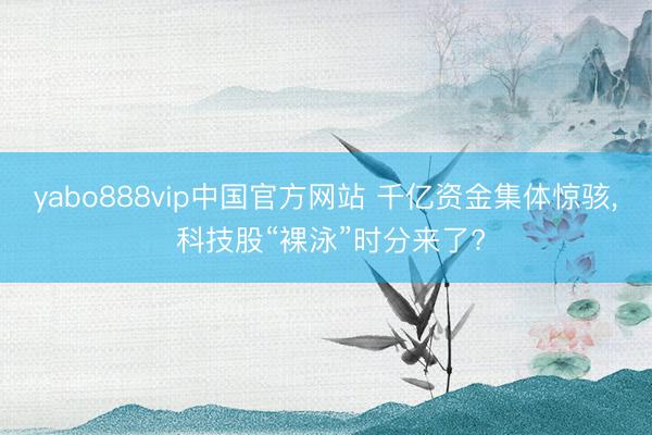 yabo888vip中国官方网站 千亿资金集体惊骇， 科技股“裸泳”时分来了?